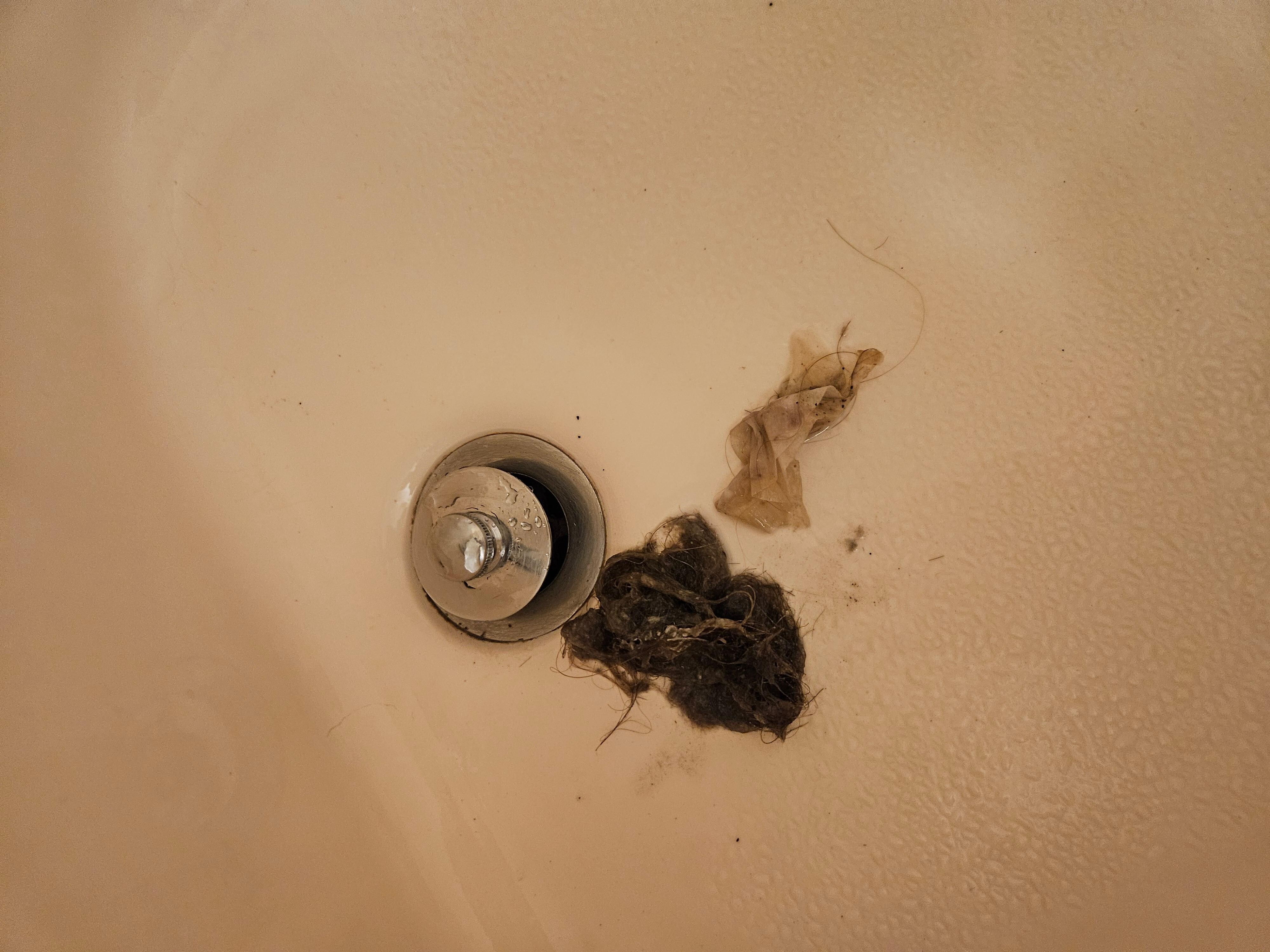 What i removed for the clogged drain