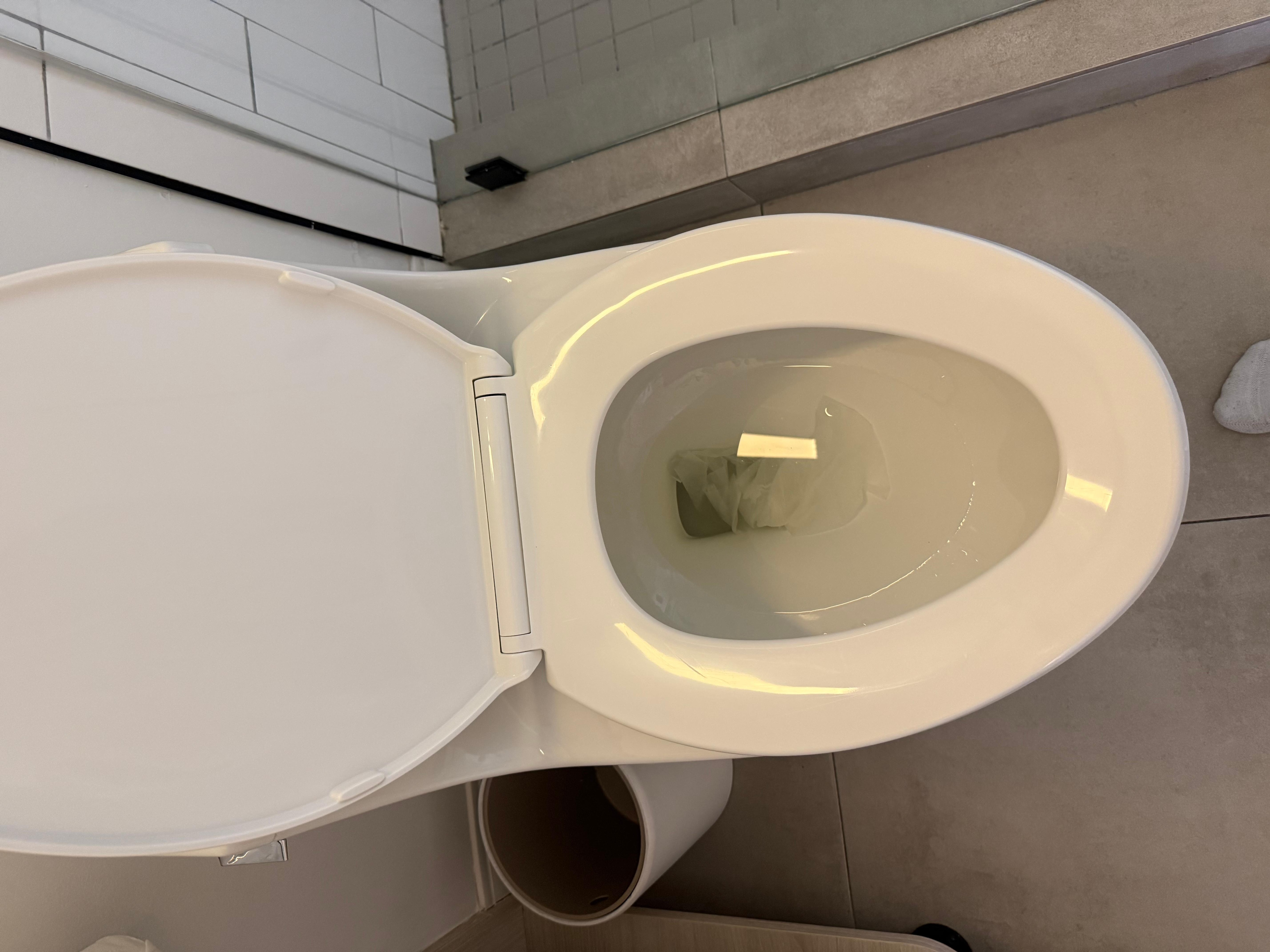 Toilet not flushed 