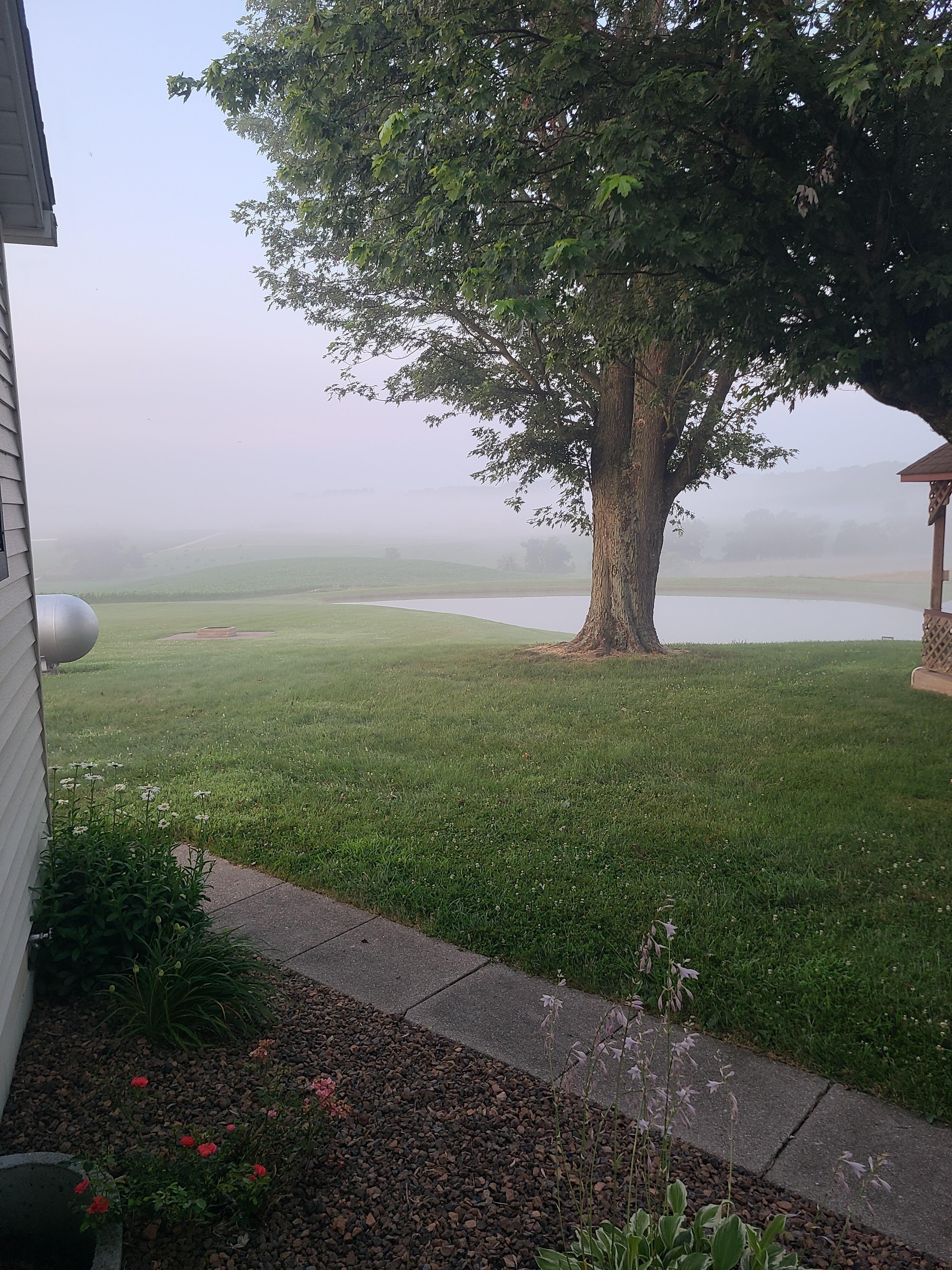 Little fog in the morning 