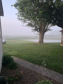 Little fog in the morning