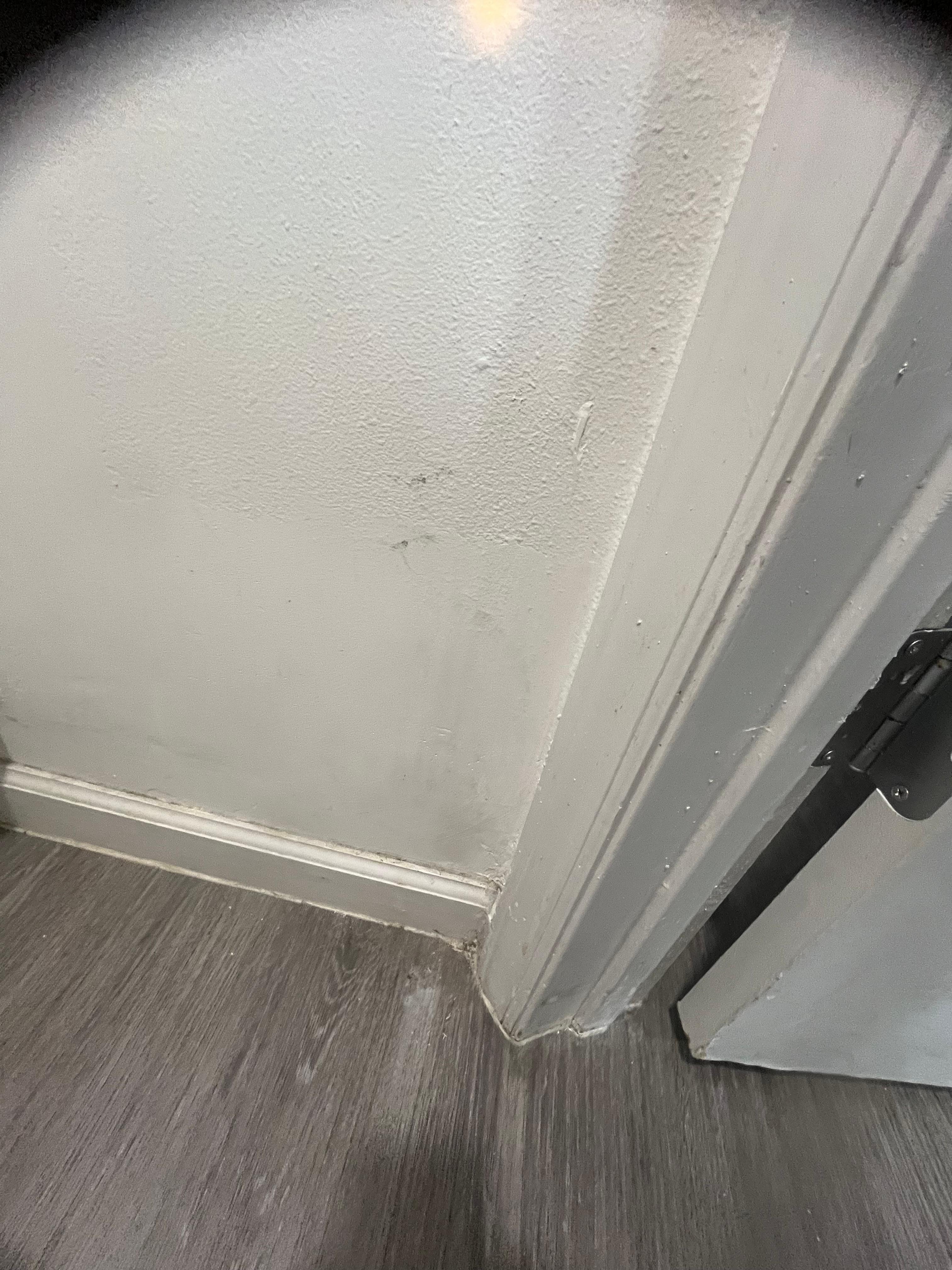 Dirty baseboards 