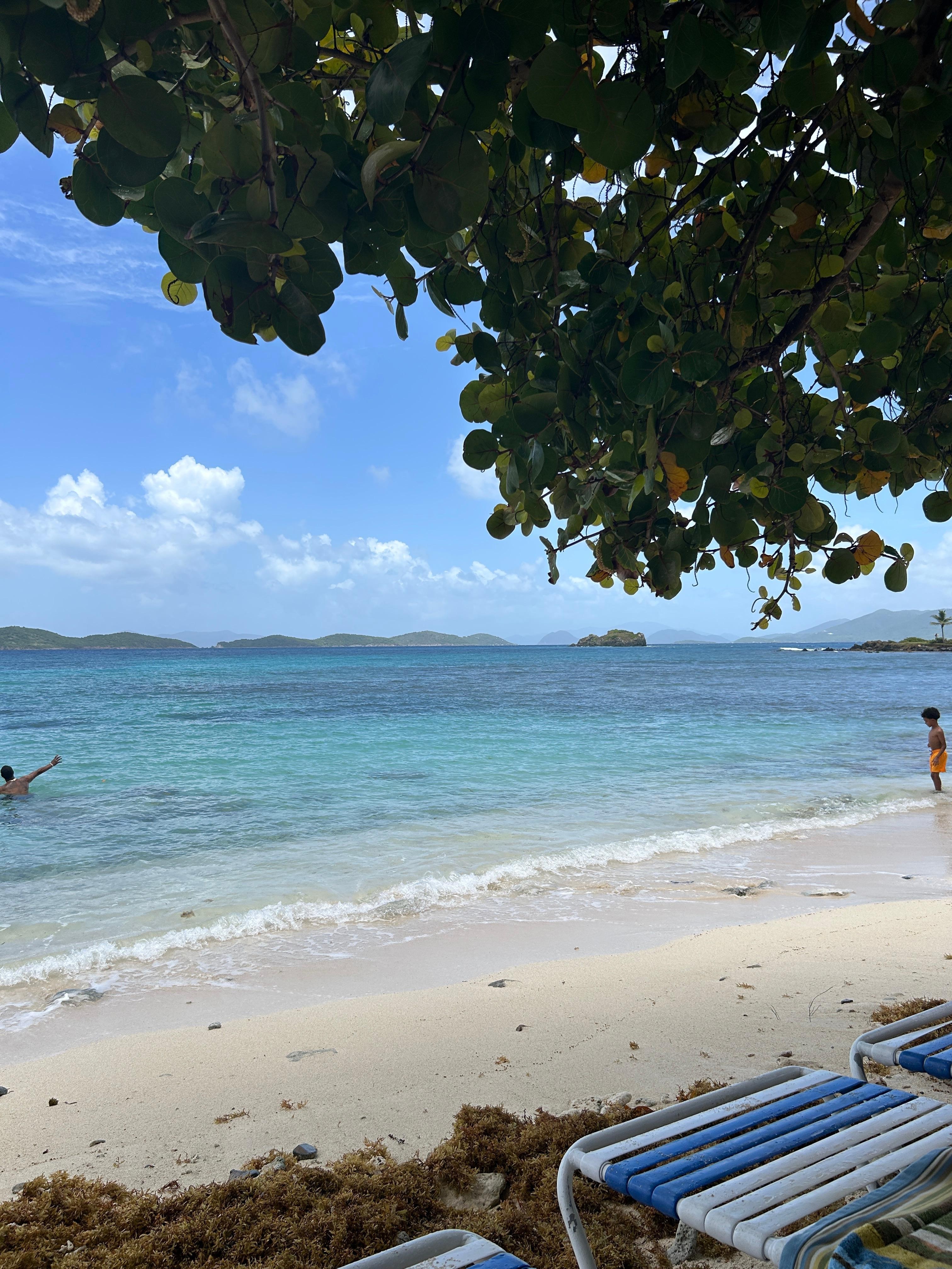 Beach right off the porch of the unit 