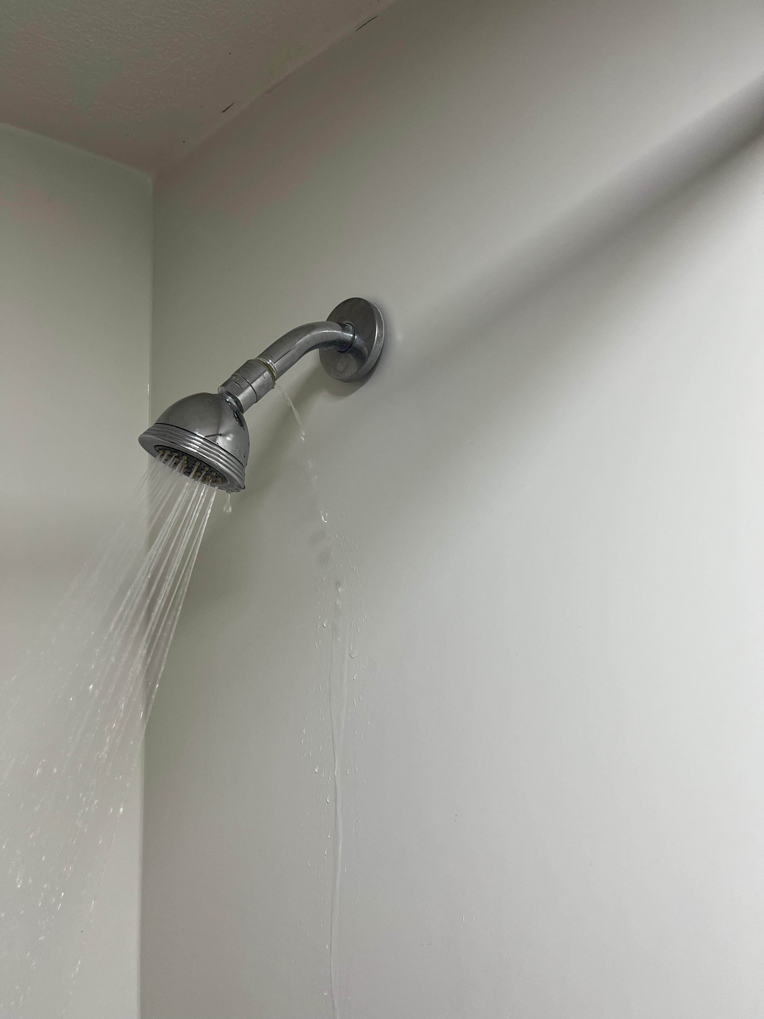 Leaking Shower