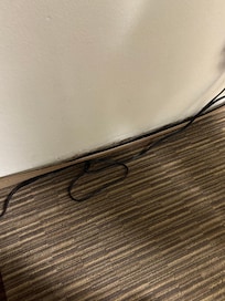 Carpet in room