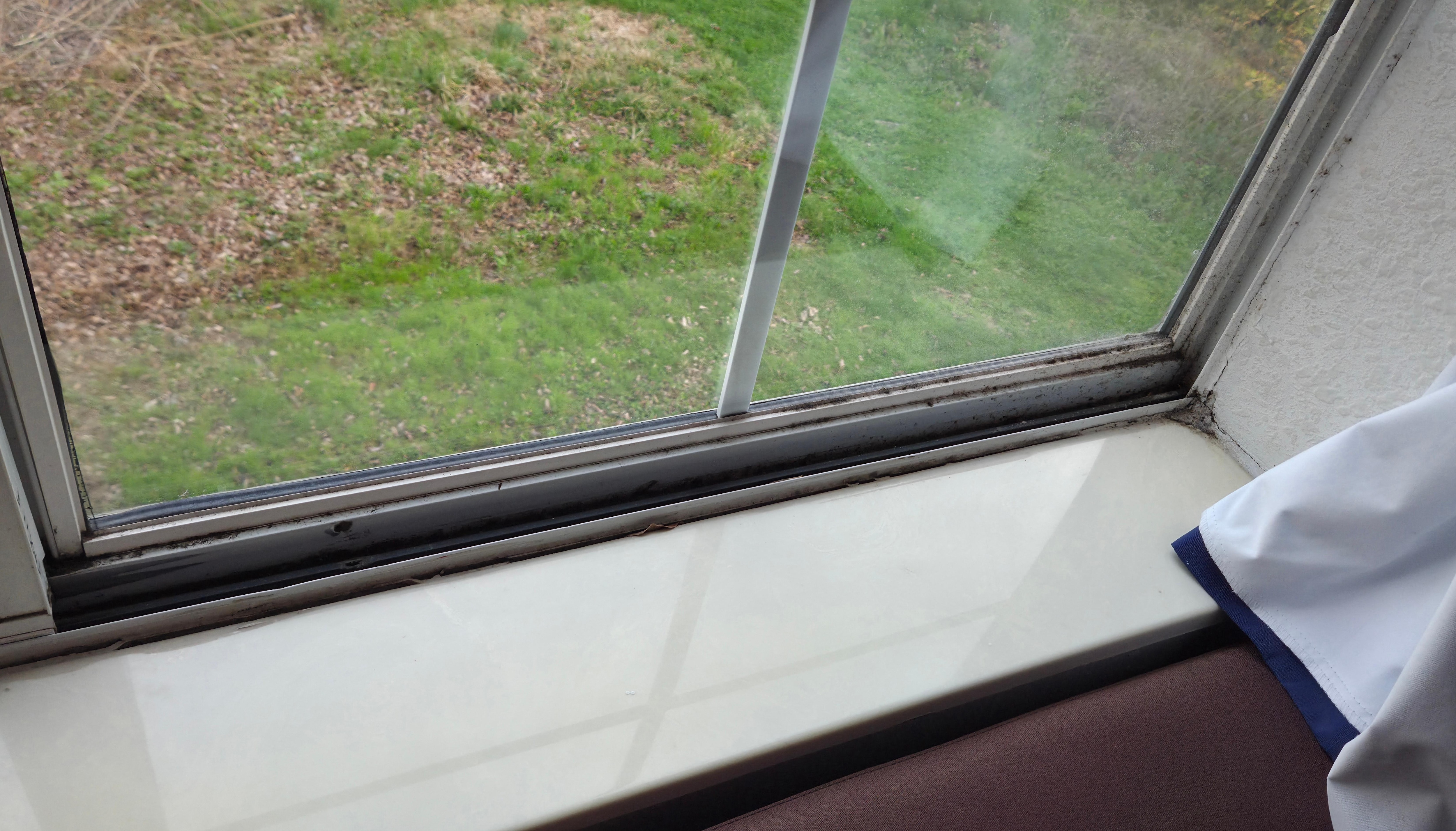 Mold in window seals