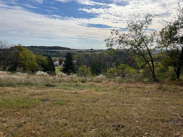 View from the driveway