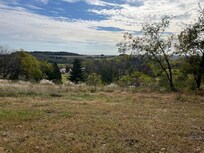 View from the driveway
