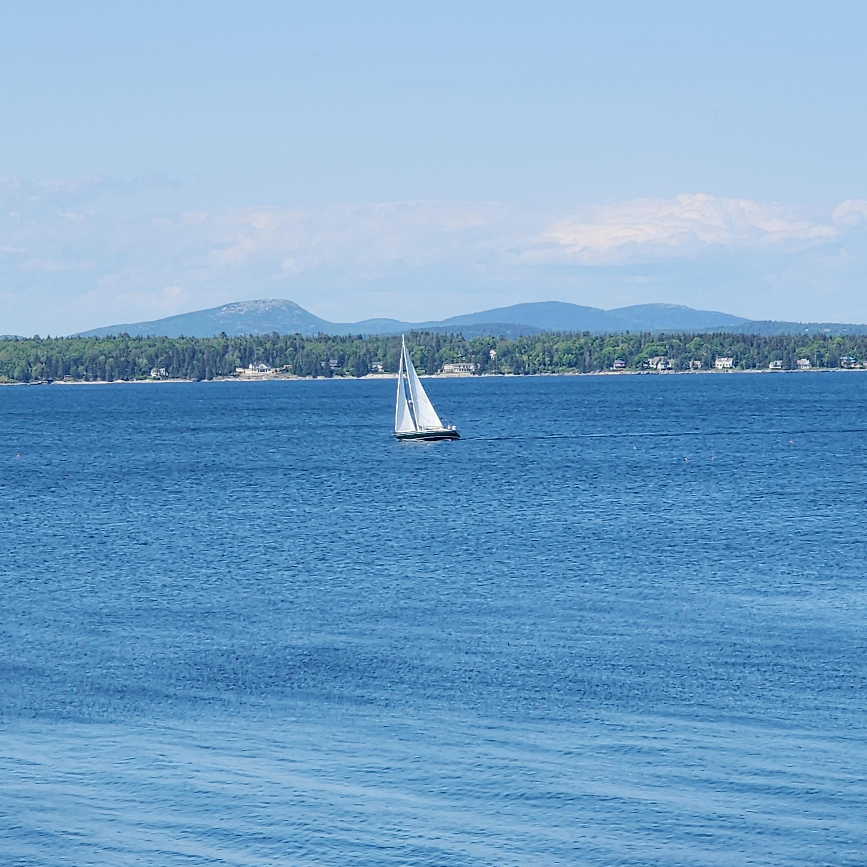 view from back deck (balcony)