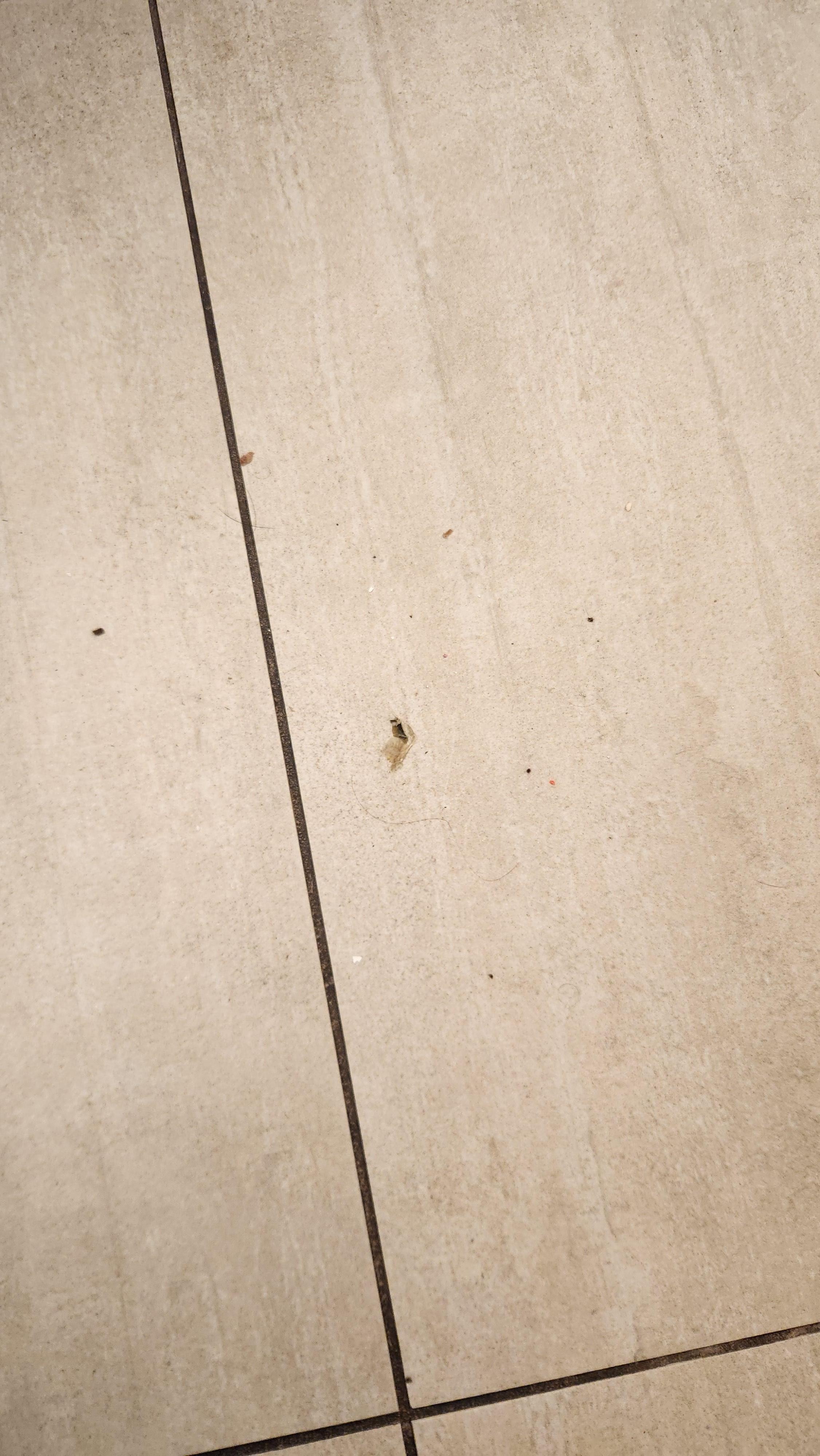 Bathroom floor dirty.