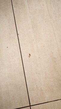 Bathroom floor dirty.