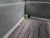 Hole in wall with rat bait