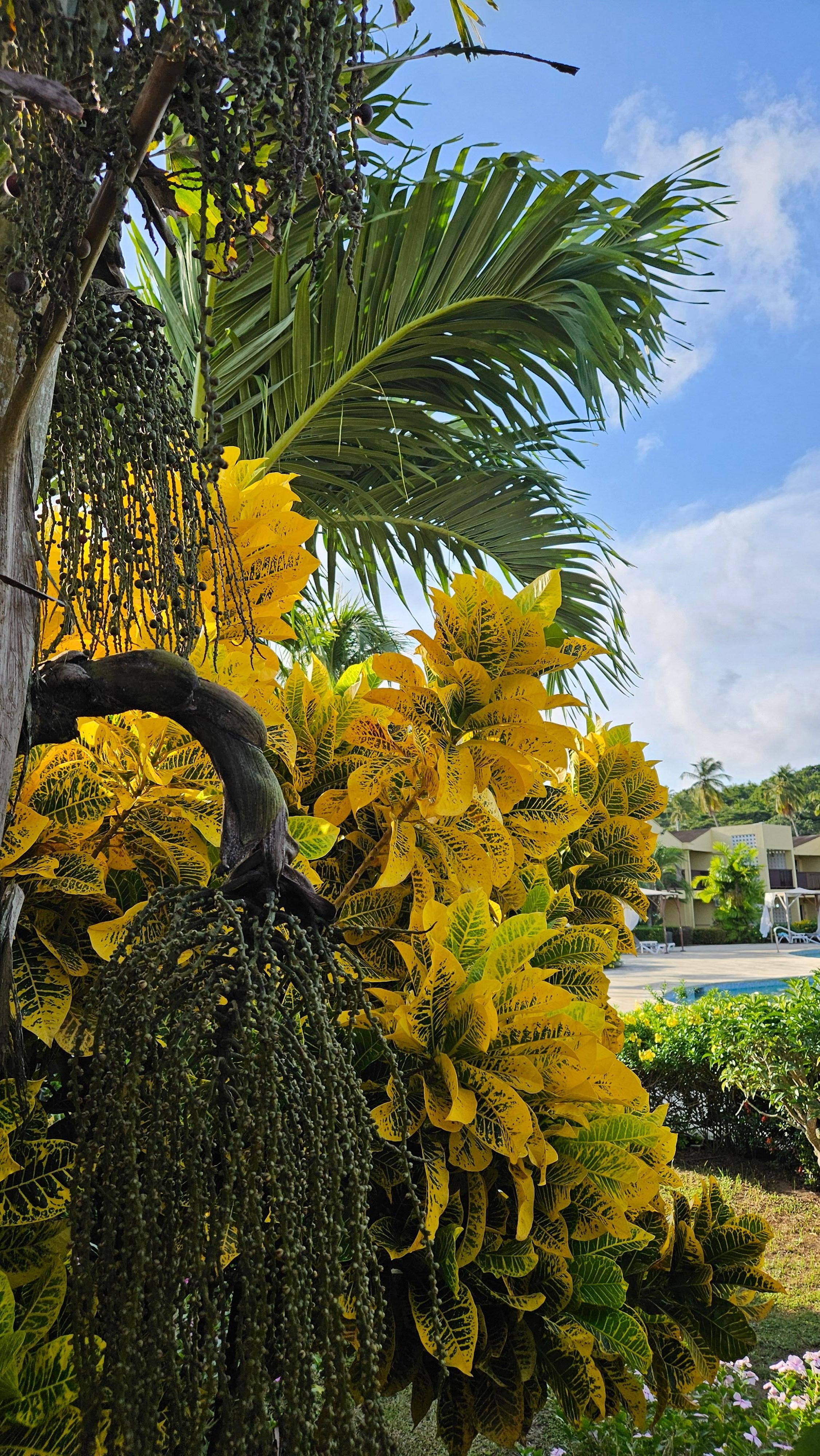 Plants on site were spectacular. 