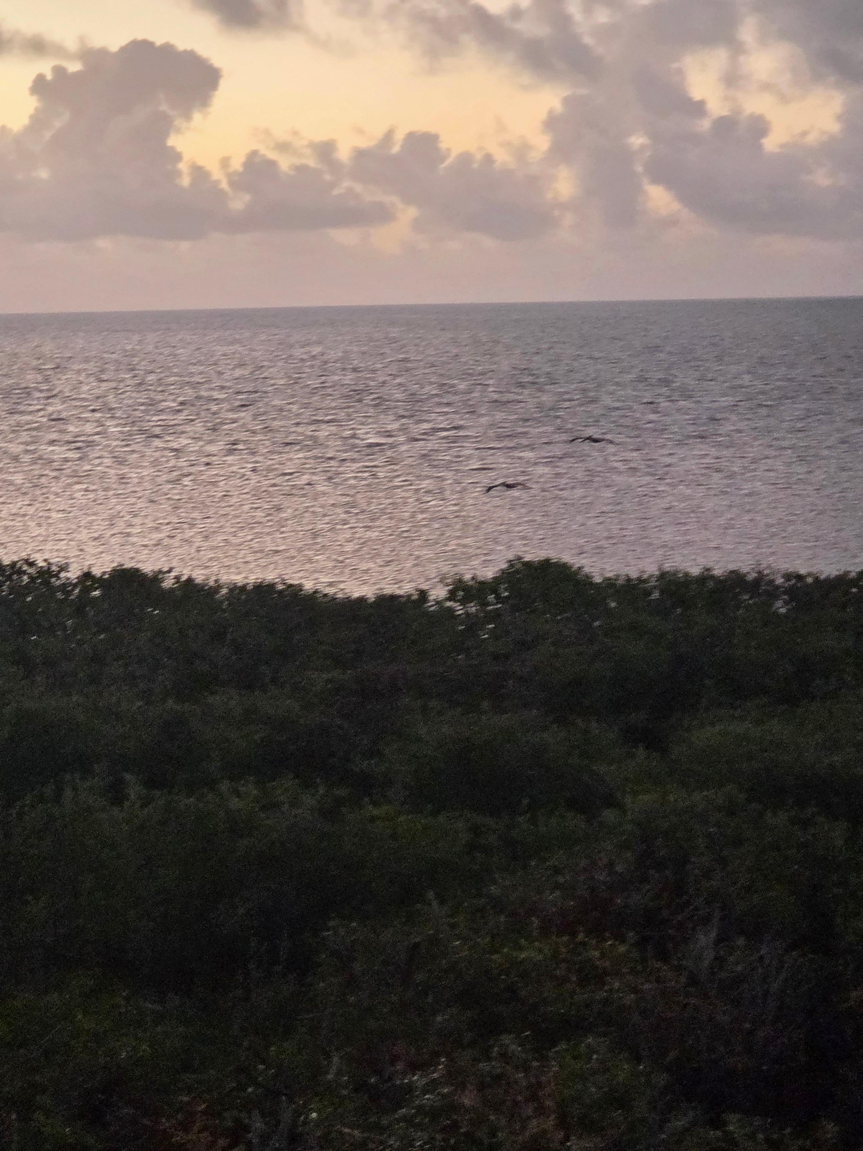 Morning view from balcony 