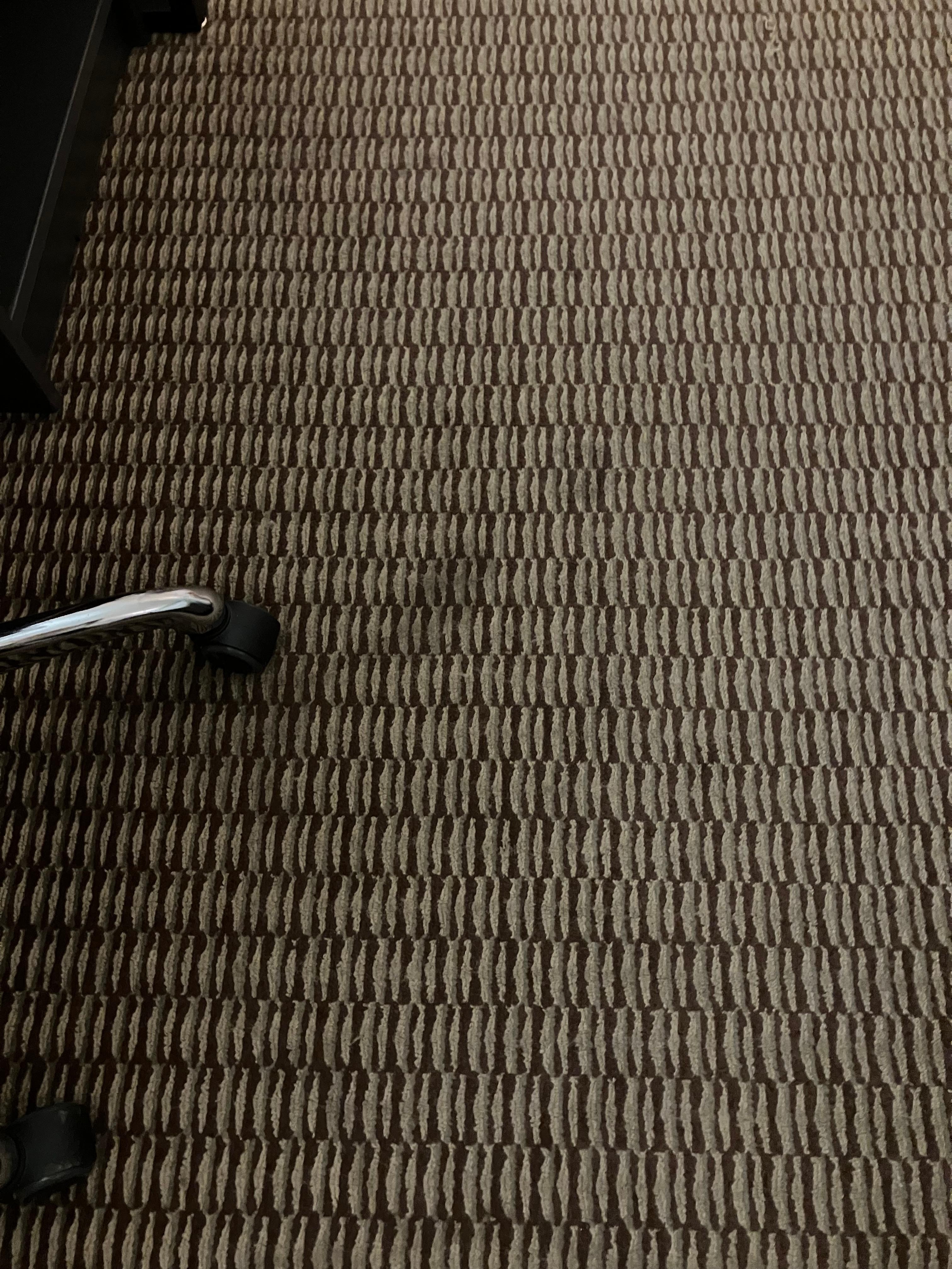 Stains in carpet 