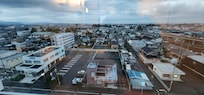 the view