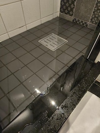 The water had already reached the edge of the shower basin after bathing.