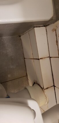 Sin palabras inidoro