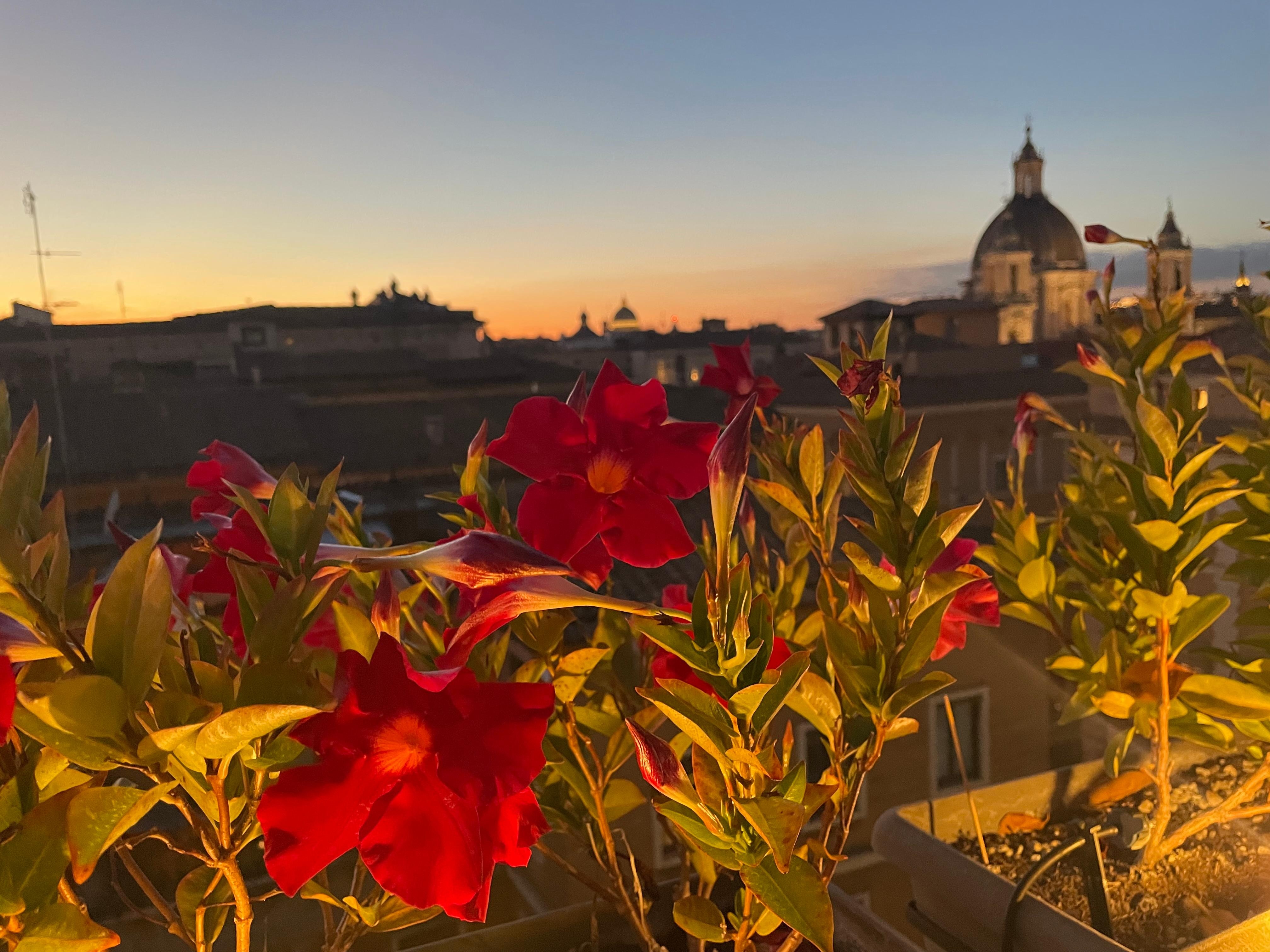 Solnedgang fra tagterrassen