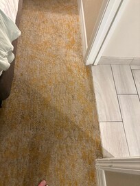 This carpet was so gross… not only stained and dirty, but it was like oily, almost like it was wet. Don’t take your shoes off until you get in the bed….