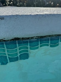 the whole pool is missing tiles and black mold