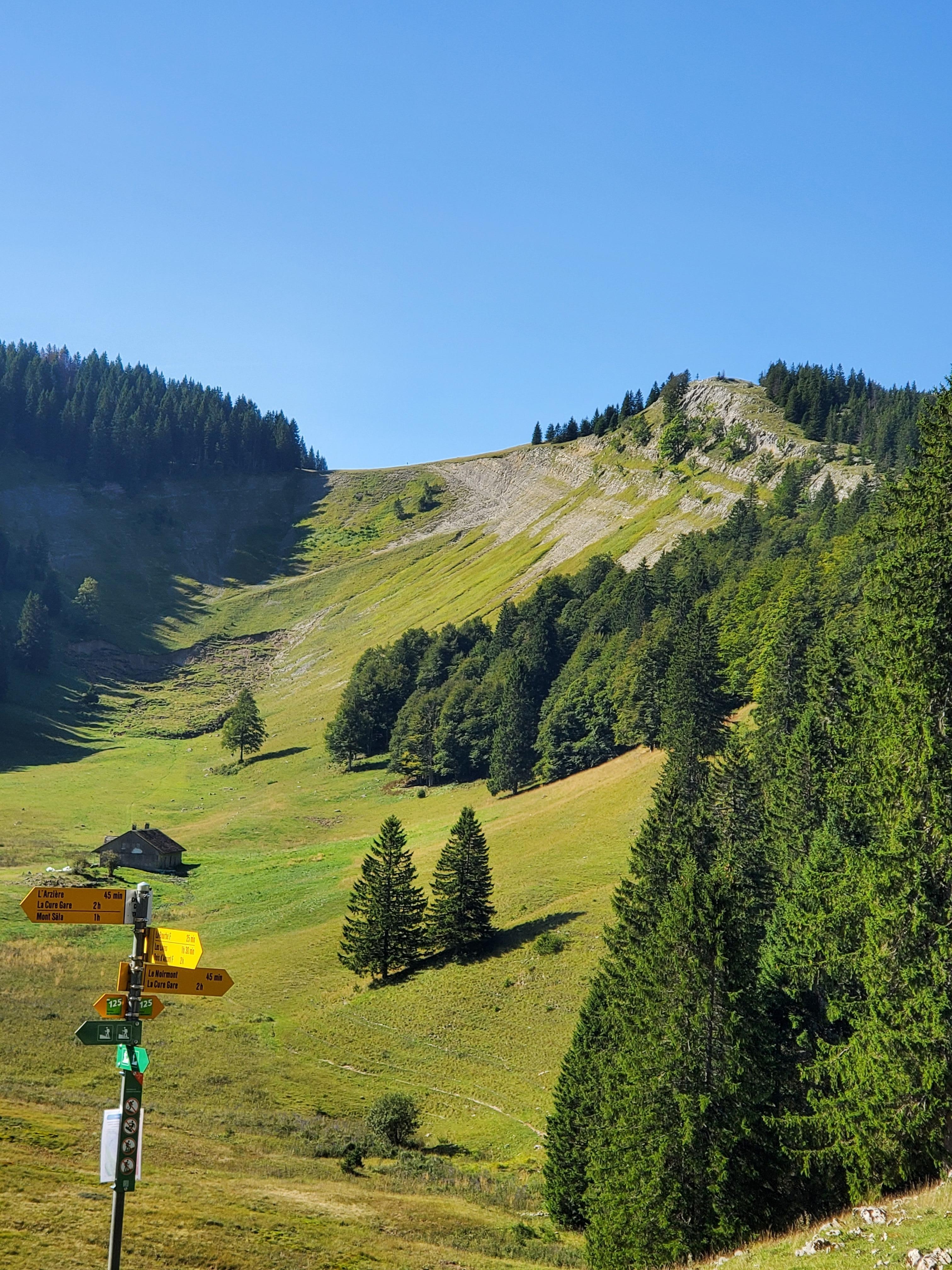 Noirmont 1500 m d'altitude 