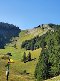 Noirmont 1500 m d'altitude