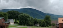 View from back patio