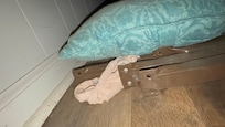 Panties, dust and old bed rails under the bed.