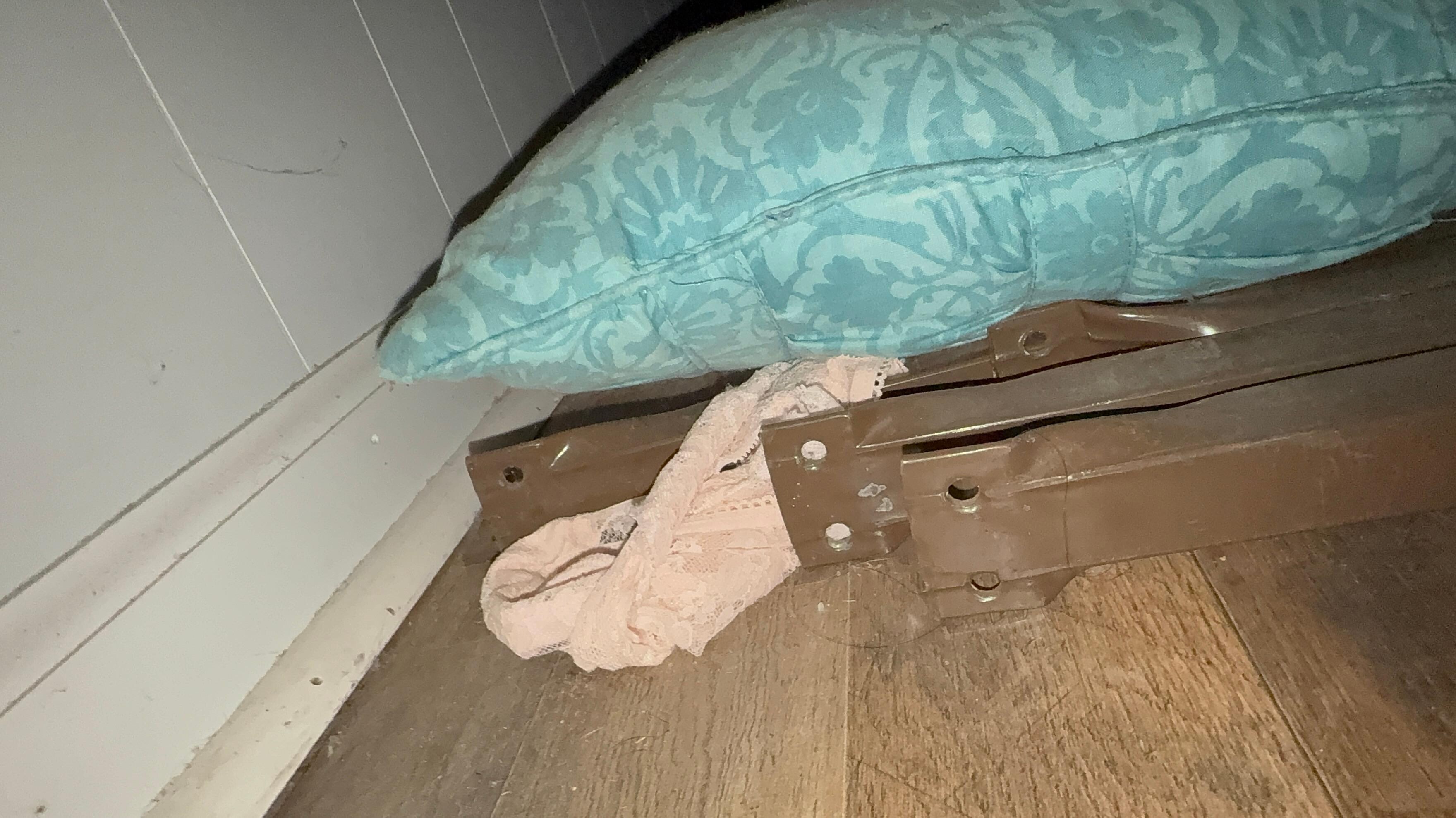 Panties, dust and old bed rails under the bed. 
