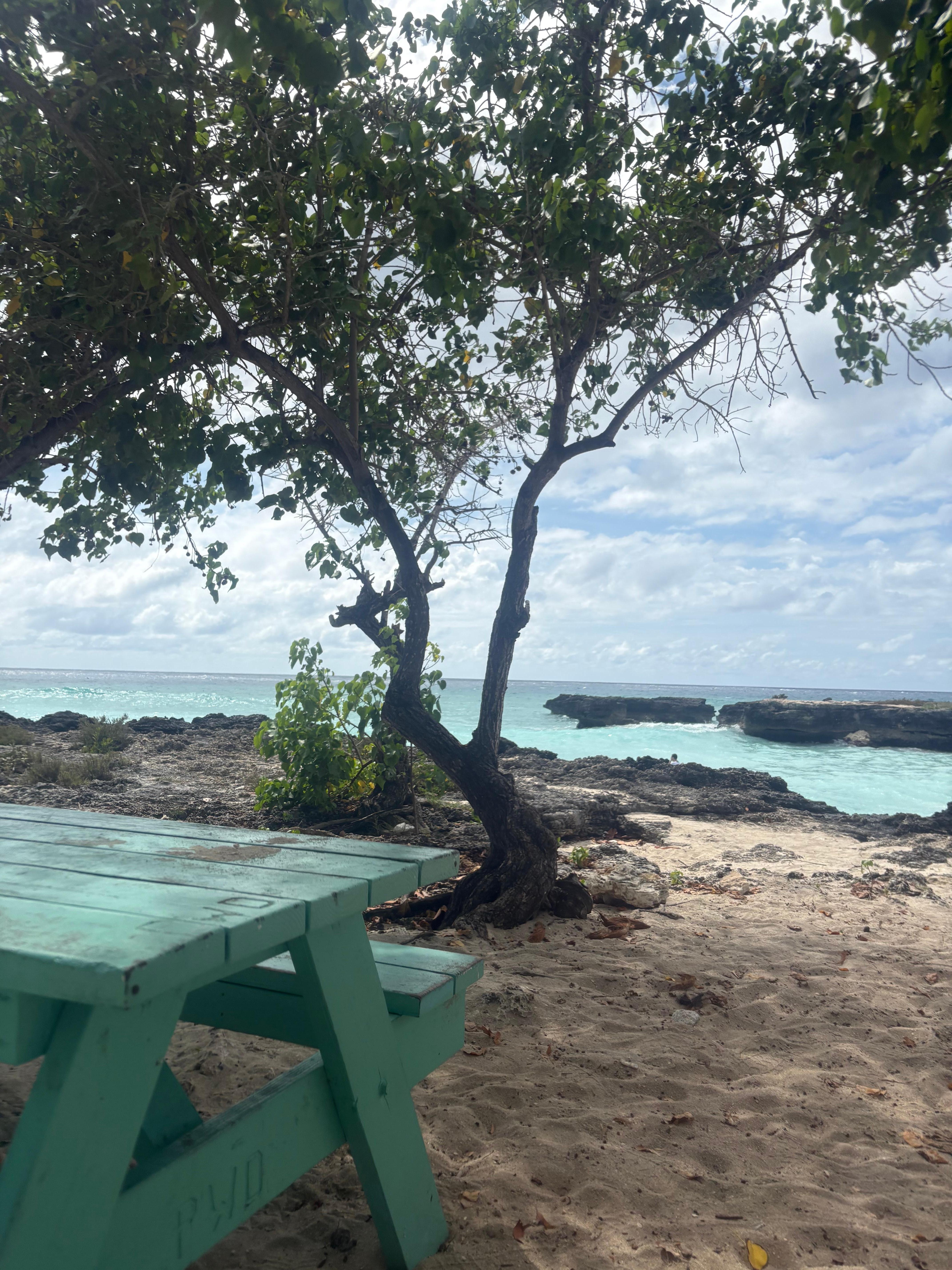 Shaded Picnic area at Smith’sCove
