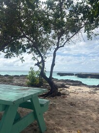 Shaded Picnic area at Smith’sCove