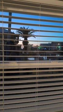 View from a side window.