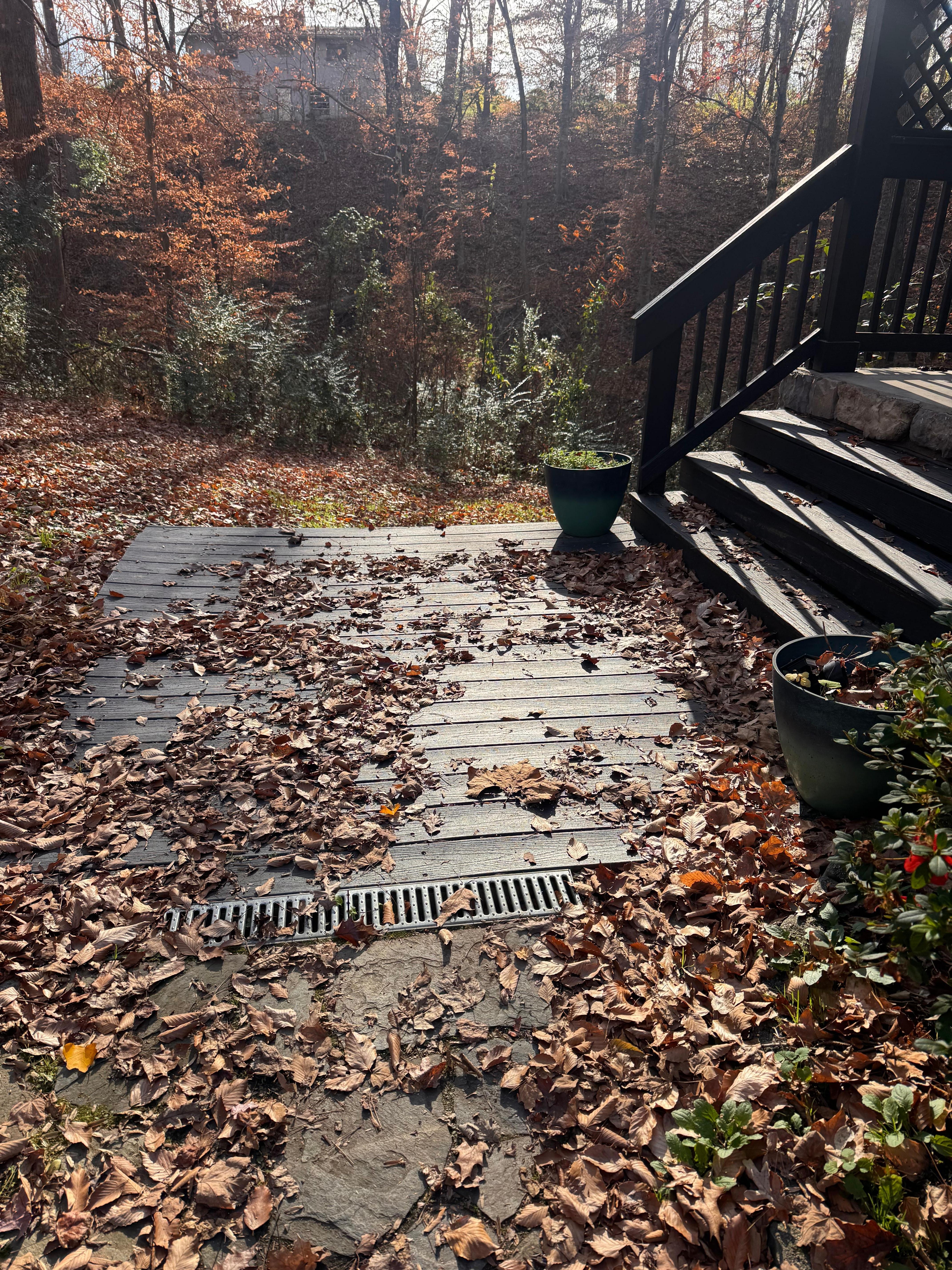 Deck and property grounds uncleam