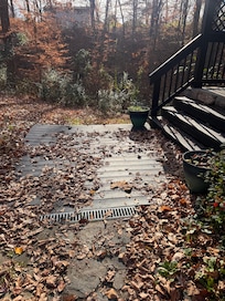 Deck and property grounds uncleam