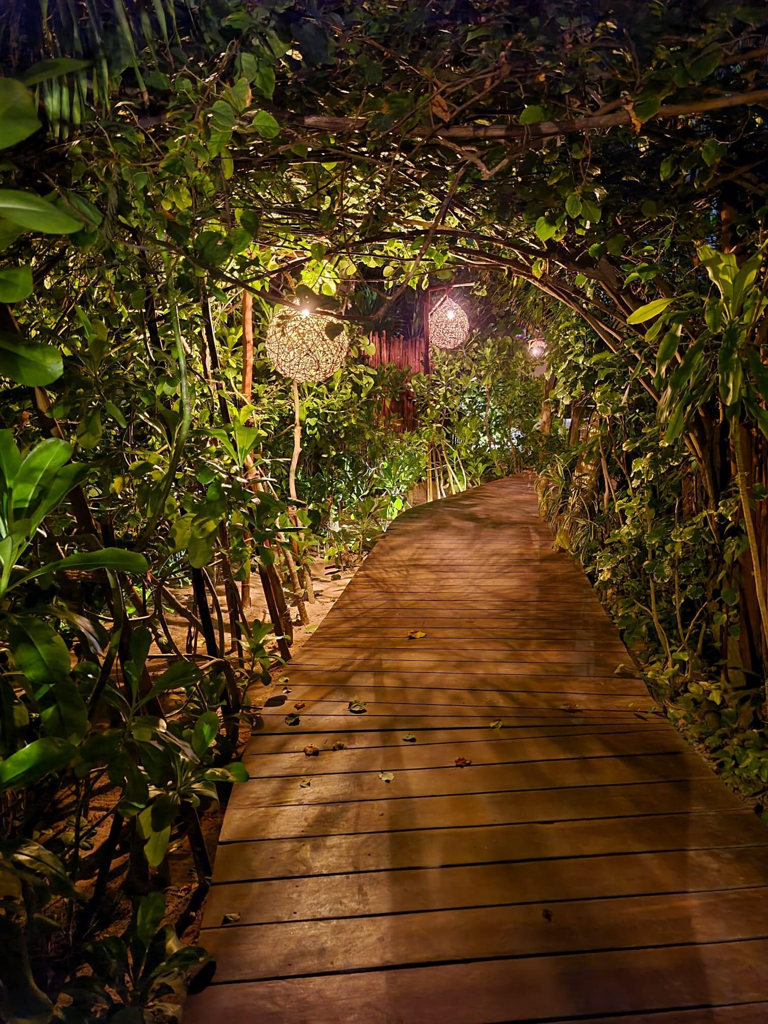 Night View of Resort