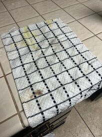 This was the towels in our kitchen to dry our hands