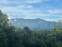 Deck View
