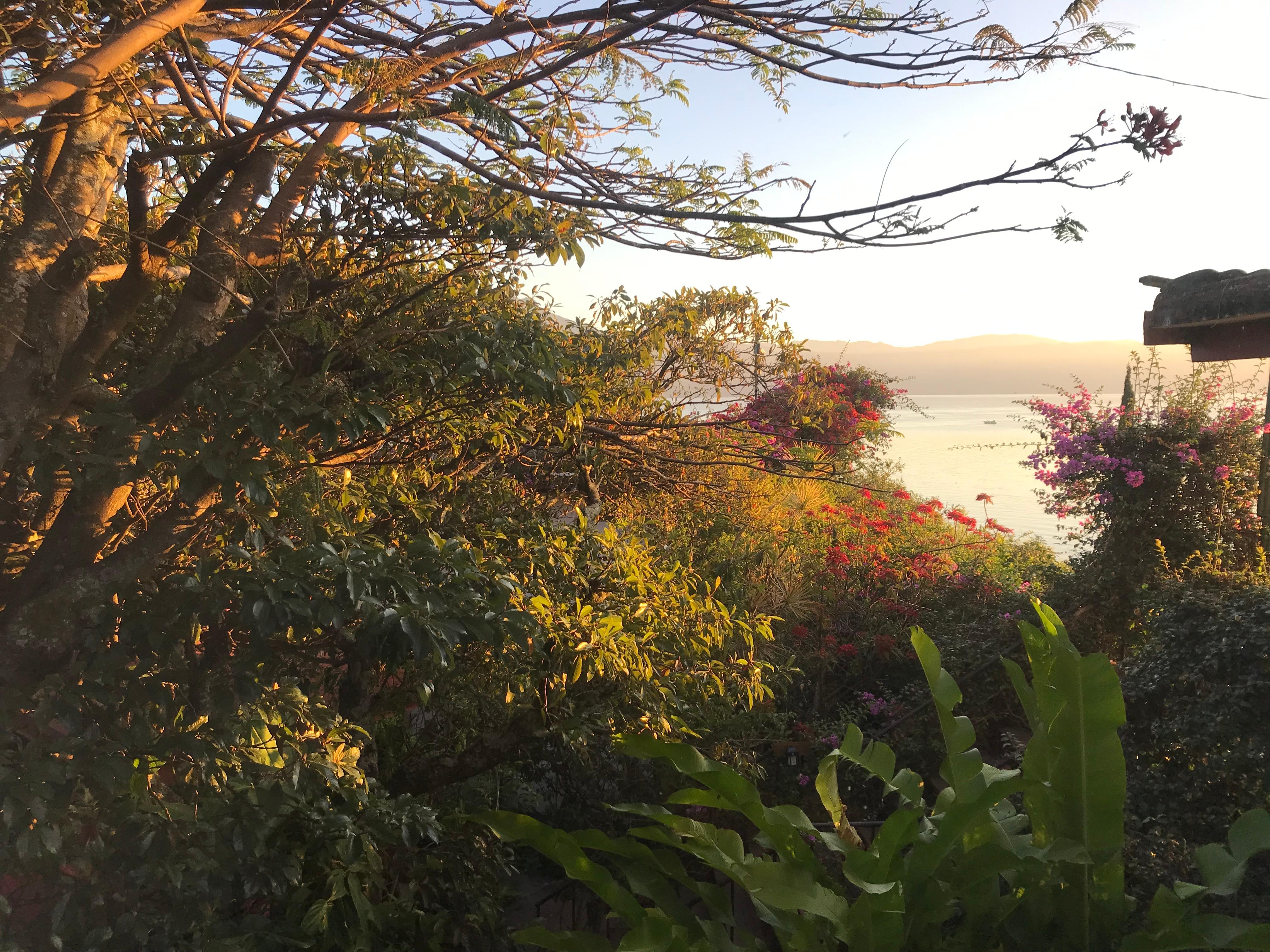 This is sunrise from  my room.