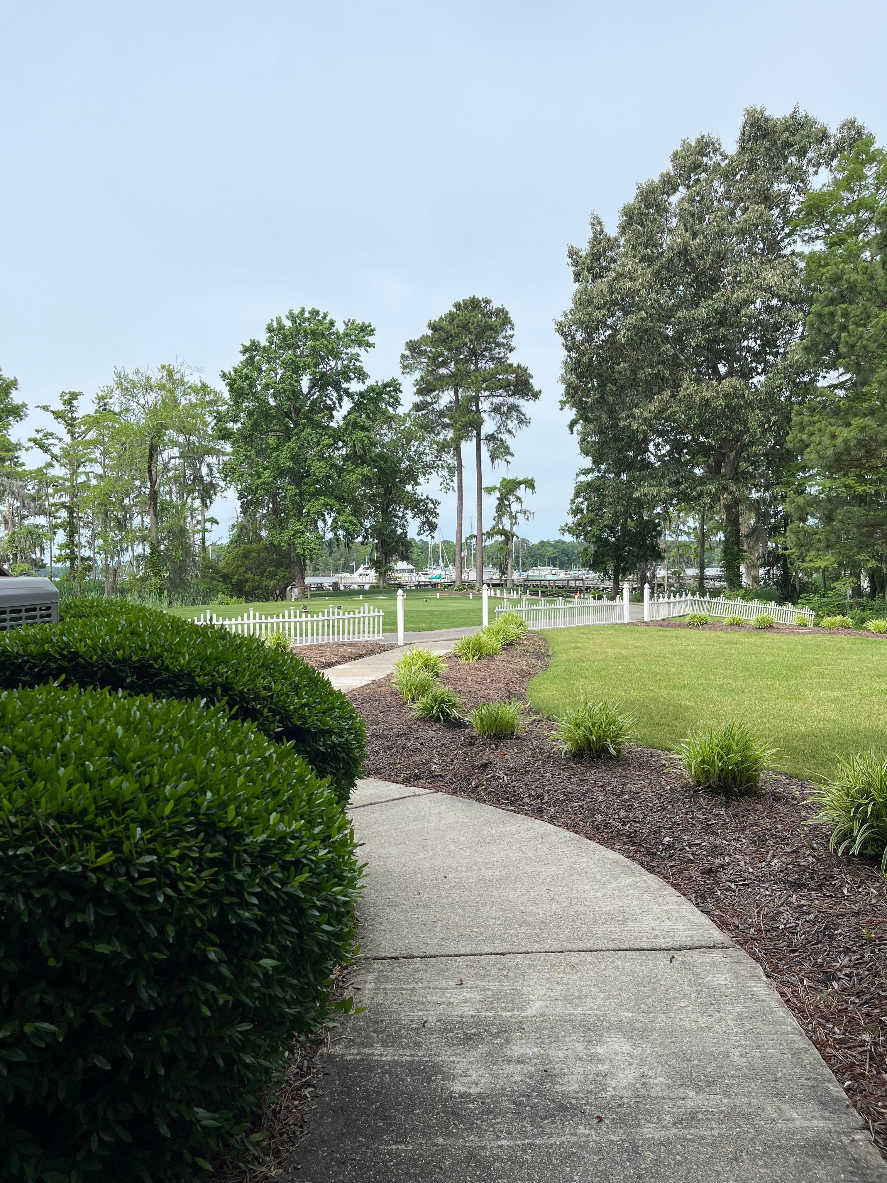 View from back patio