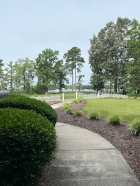 View from back patio