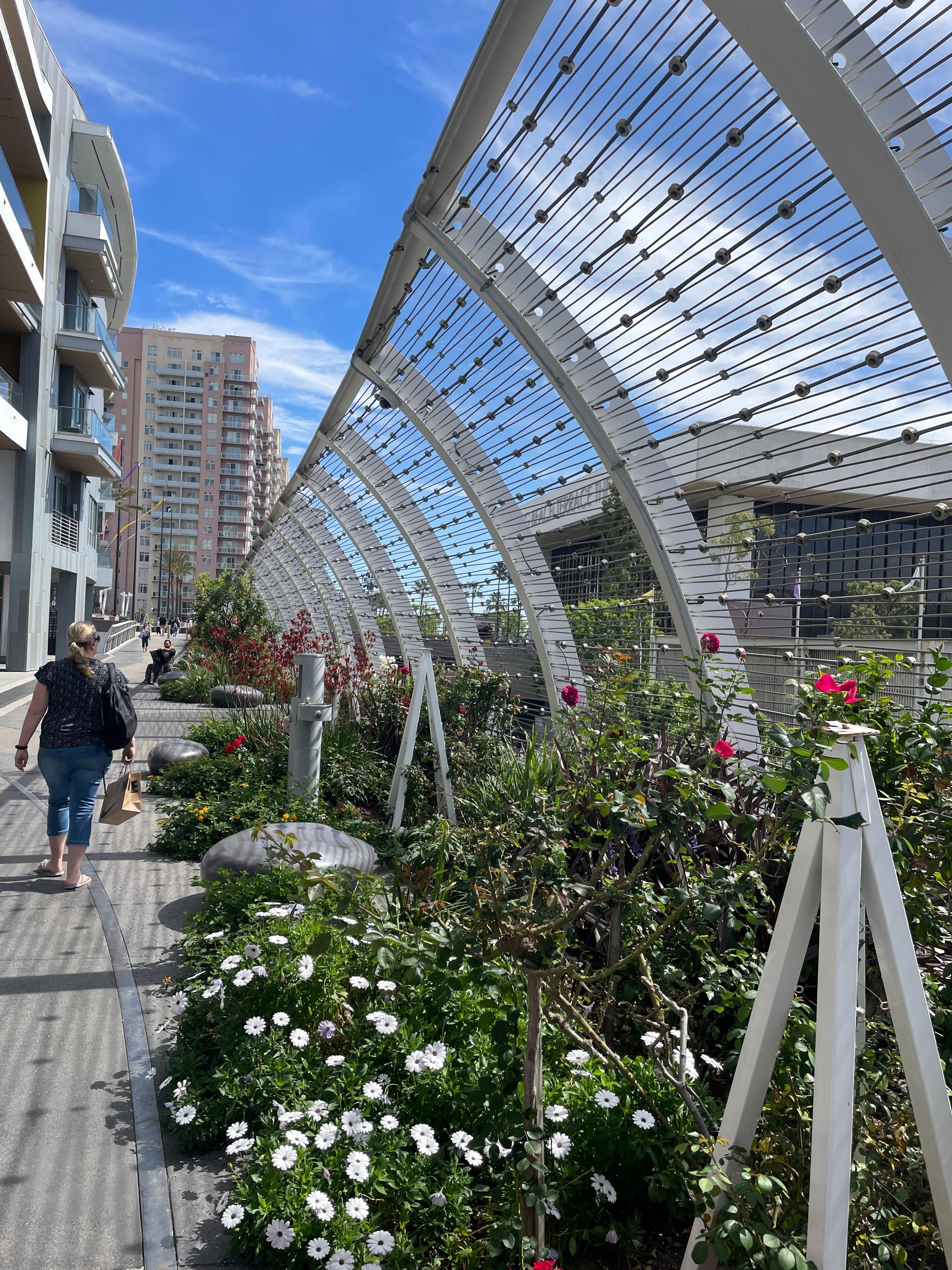 Our walk to the convention center 