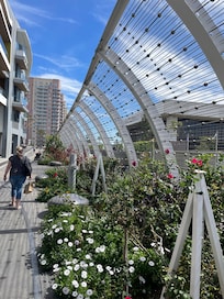 Our walk to the convention center