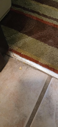 Hasn't been vacuumed there were crackers all over floor even in the tub