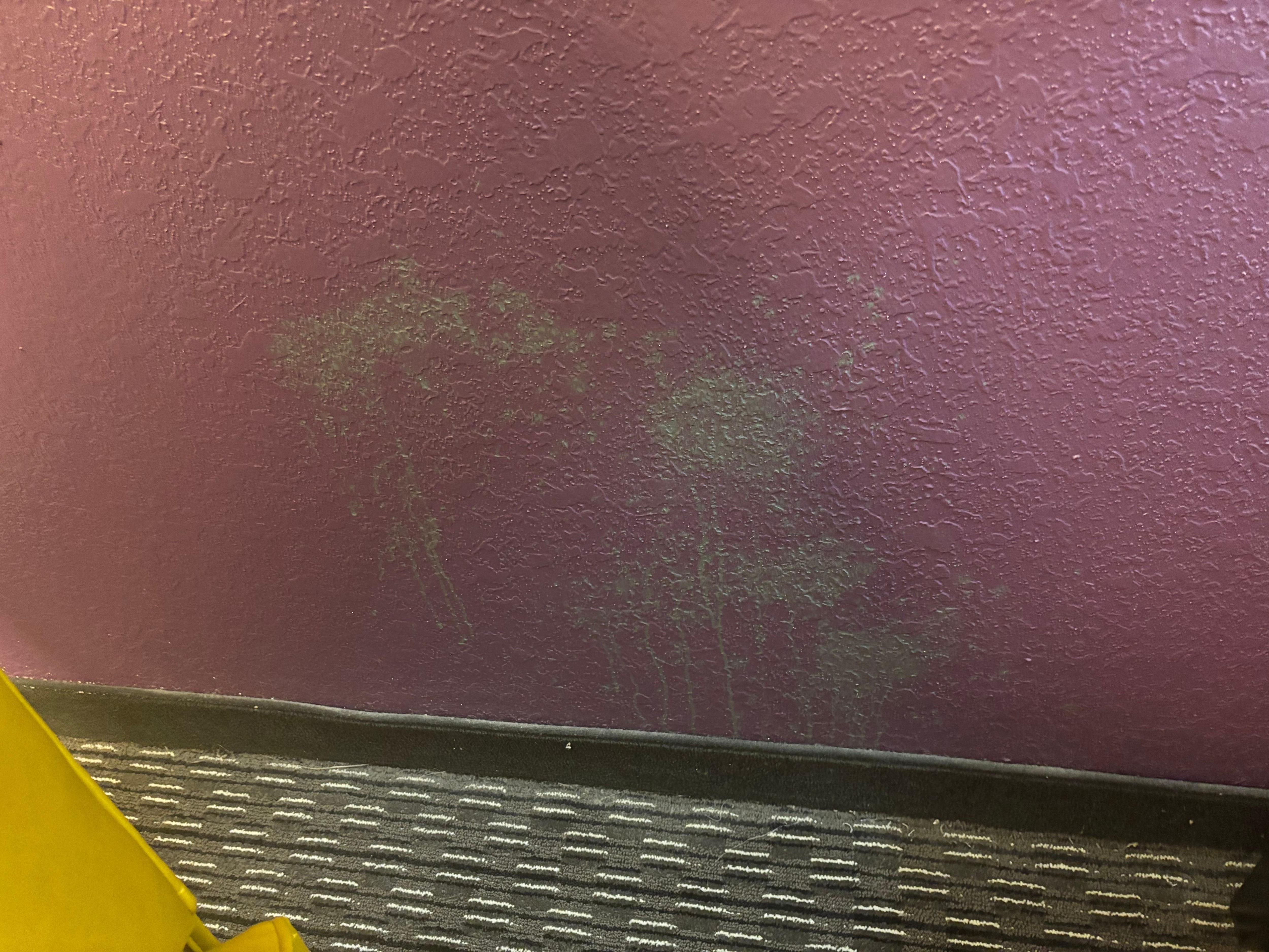 Wall stain