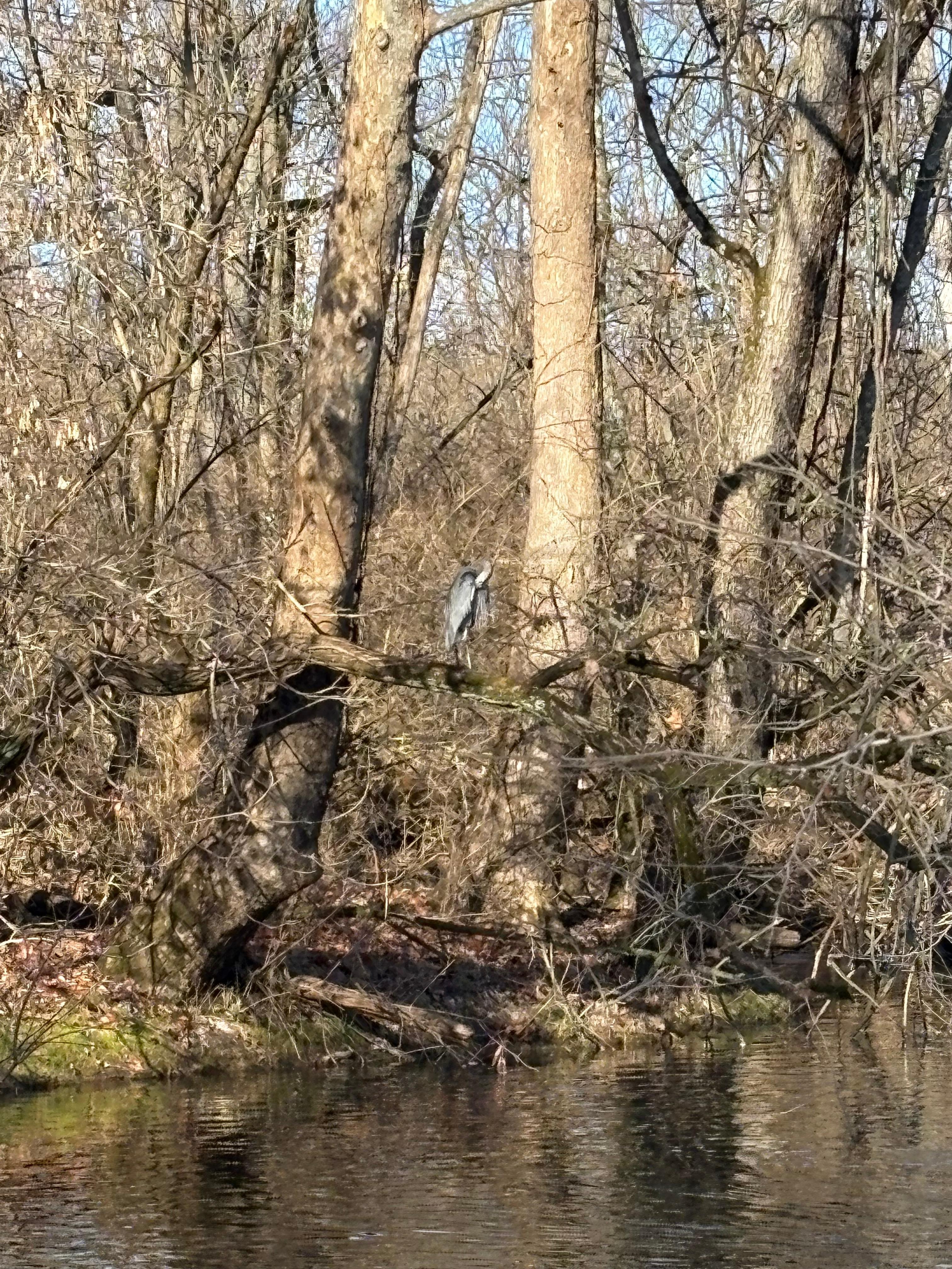 The Blue Heron outside the boathouse
