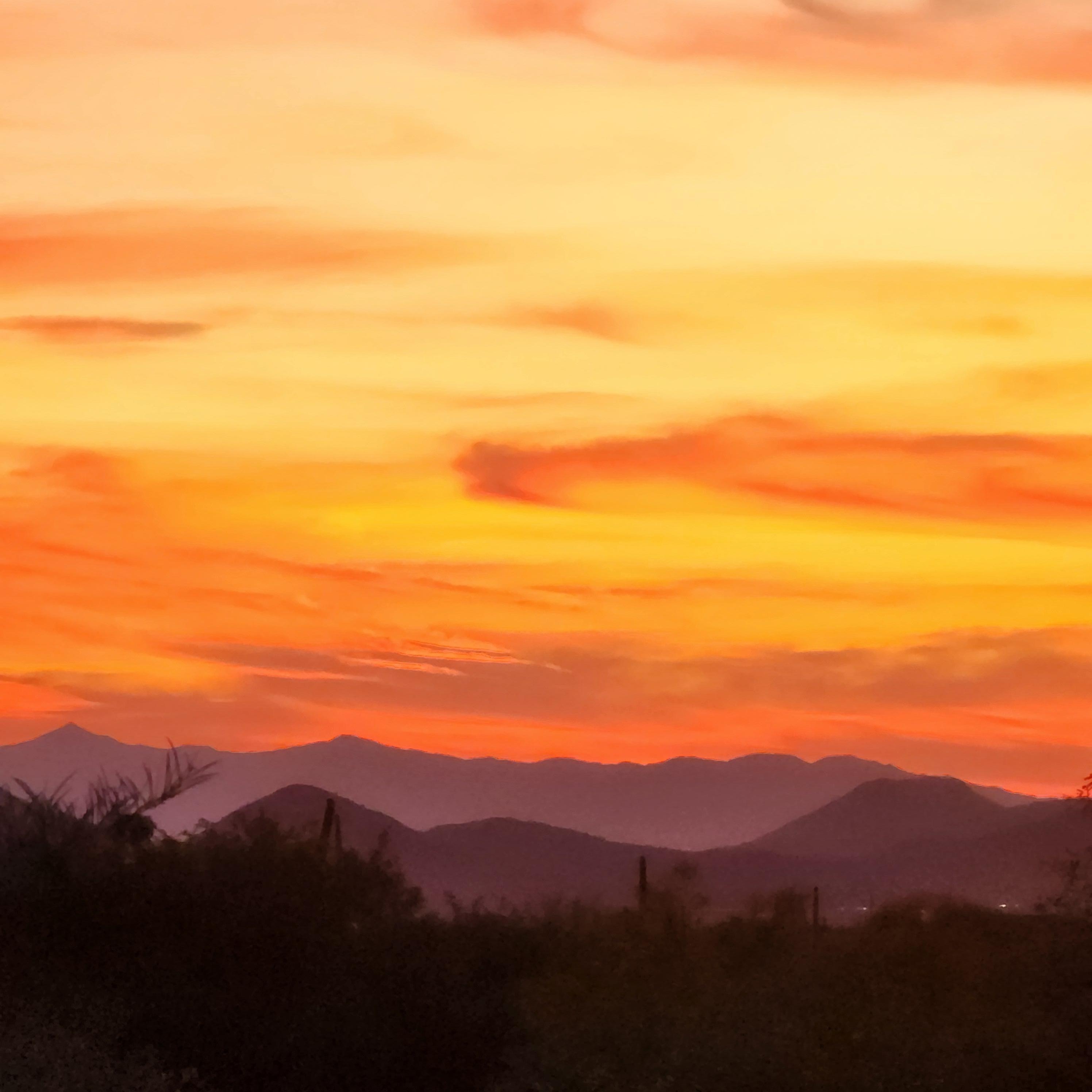 Views from the roof deck!