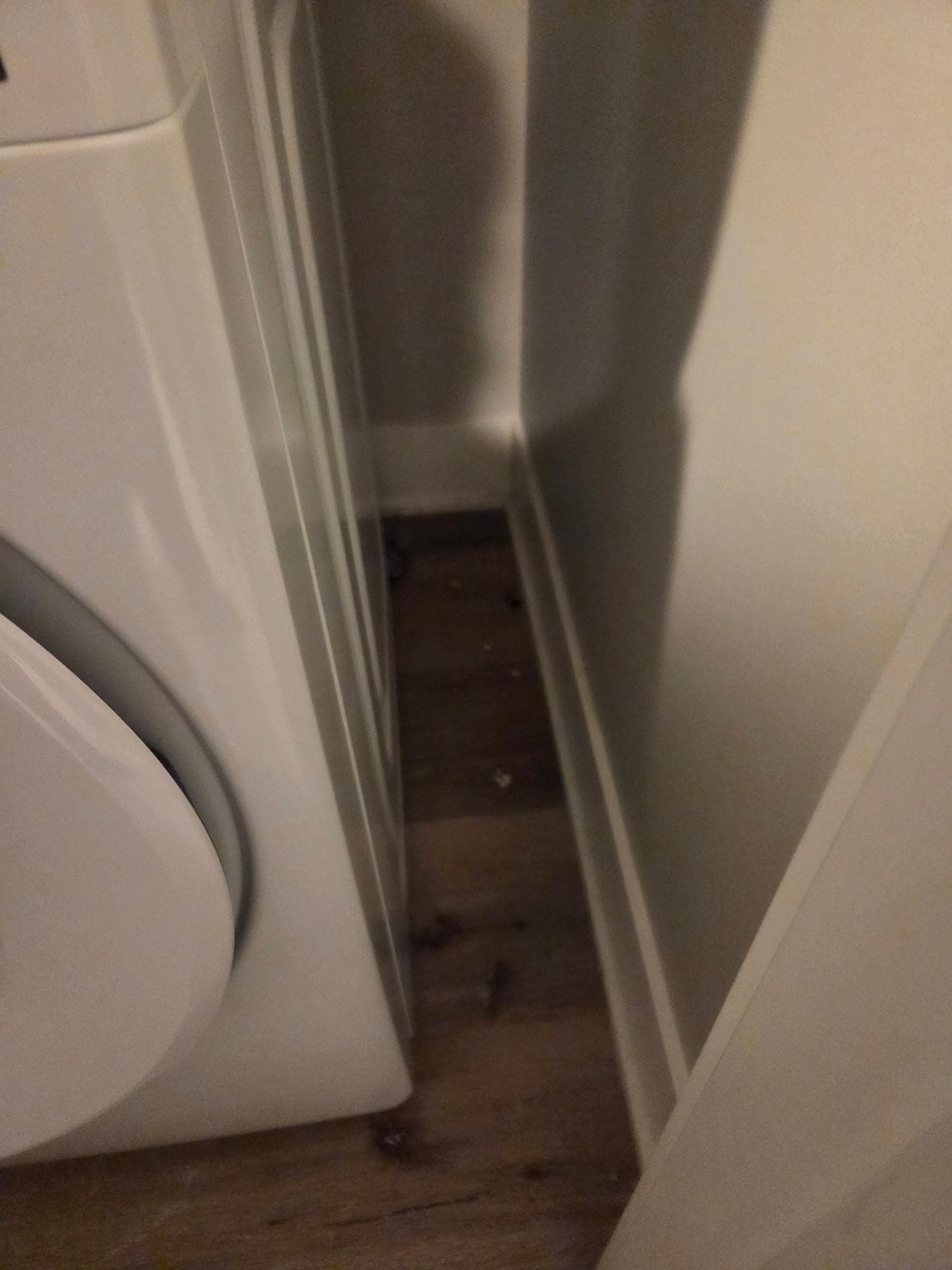 Dust next to the washer.