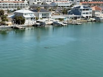 Dolphins outside our balcony