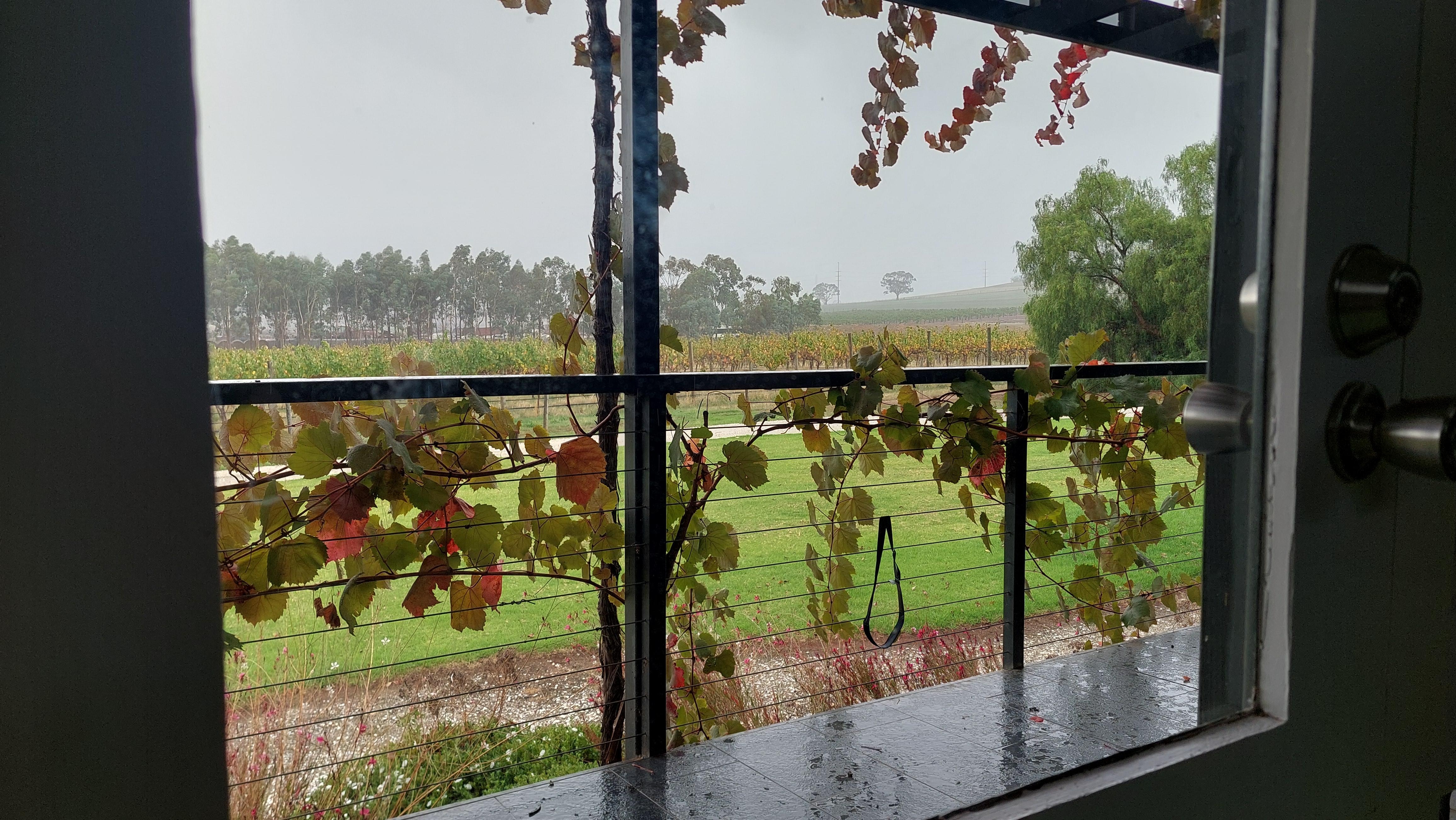 View from deck