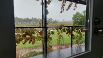 View from deck